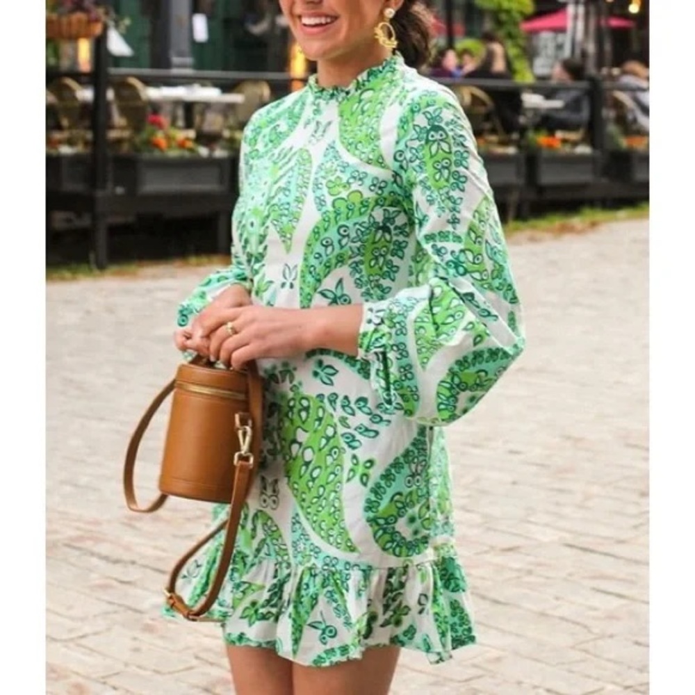 Stays Green Paisley Dress Size 2